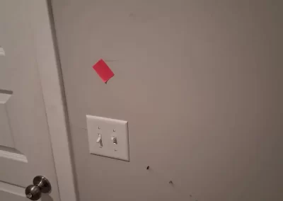 Trusted Home Painting Services