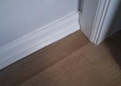 Trusted Professional Painter